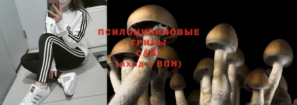 прущая мука Няндома