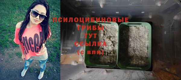 альфа пвп Гусиноозёрск